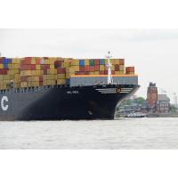 4262 Schiffsbug der MSC INES am Lotsenhaus Finkenwerder | 